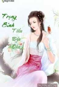 Trọng Sinh Truy Mỹ Ký